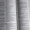 Nova Bíblia Viva | Letra Normal | Capa Dura | Leão Preto e Branco