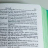 Bíblia Sagrada | RC | Letra Gigante | Capa Dura | Leão Color