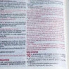 Bíblia Sagrada Slim| ARC |Vermelho e Lilás| Harpa Avivada e Corinhos