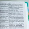 Bíblia Sagrada | RC | Letra Gigante | Capa Dura | Leão Color