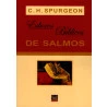 Livro Esboços Bíblicos De Salmos – Charles H. Spurgeon
