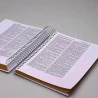 Bíblia Sagrada Anote a Palavra | ACF | Letra Normal | Capa Dura | Leão Dourado | Espiral | Com Espaço Para Anotações
