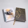 Kit Bíblia ACF Leão Ouro + Planner Masculino Leão Dourado | Gratos Pela Fé 
