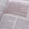 Bíblia de Estudo da Mulher | RA | Letra Normal | Capa Sintética | Tamanho Grande | Beiras floridas
