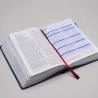 Bíblia do Pregador Pentecostal | NAA | Letra Normal | Capa Sintética | Azul Nobre 