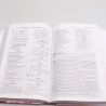Bíblia Sagrada Minha Jornada com Deus Com Devocionais | NVI | Letra Normal | Semi-flexível | Deus