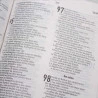 Bíblia Sagrada | AEC | Letra Normal | Capa PU | Laranja Leão