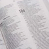 Bíblia Sagrada | AEC | Letra Normal | Brochura | Leão