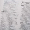 Bíblia Sagrada | AEC | Letra Normal | Semi-Luxo | Neon