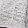 Bíblia Sagrada | RC | Harpa Cristã | Letra Gigante | Capa Semi-Flexível | Florida azul 