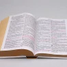 Bíblia Sagrada | RC | Harpa Avivada e Corinhos | Letra Jumbo | Capa Dura | Leão Dourado