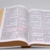 Bíblia Sagrada | RC | Harpa Avivada e Corinhos | Letra Jumbo | Capa Dura | Leão Dourado
