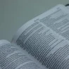 Nova Bíblia Viva | Letra Normal | Capa Dura | Leão Hebraico