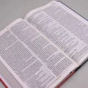 Bíblia 365 | NVT | Letra Grande | Capa Dura | Vermelha