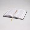 Bíblia Sagrada | ACF | Letra Média | Capa Dura | Leão Ouro | 942 Páginas