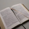 Bíblia de Estudo | LTT | Capa Semi-Flexível | Marrom