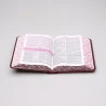 Bíblia de Estudo da Mulher Sábia Para Evangelismo | RC | Harpa Avivada e Corinhos | Letra Média | Capa PU | Rendas Pink