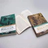 Box 2  Livros | Personagens Bíblicos | Alexander Whyte + Teologia da Salvação | Charles Spurgeon | Caminho da Sabedoria 