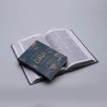Kit Bíblia NVI Letra Gigante | Rei Dos Reis + Devocional Tesouros de Davi Verde Clássico | Ele Ouve Você