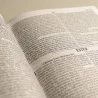 Bíblia NVI Slim | Capa Dura | Leão Nebulosa