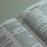 Bíblia Sagrada | NVI | Capa Dura | Letra Gigante | Buque de Flores