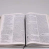 Bíblia Sagrada | NAA | God is Good | Letra Normal | Capa Dura | Beija Flor