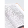 Bíblia Sagrada | ACF | Letra Média | Capa Dura | He Is Alive | Fluorescente