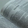 Bíblia Sagrada | King James Atualizada | Capa Dura | Letra Hipergigante | Leão Aslam