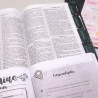 Kit Bíblia + Guia Bíblico | Jornada com Deus Através das Escrituras | Leão Azul