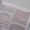 Bíblia Sagrada | NVI | Letra Média | Capa Dura | Leão Aslam