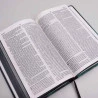 Bíblia Sagrada | NVT | Letra Normal | Capa Dura/Soft Touch | Leão Azul