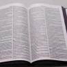 Bíblia Sagrada | RC | Harpa Avivada e Corinhos | Letra Normal | Capa Dura | Leão Azul | Slim