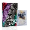 Kit Nova Bíblia Viva Leão de Judá + Devocional 3 Minutos de Sabedoria Para Mulheres | Derrame seu Coração