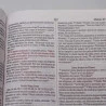 Bíblia Sagrada | NVI | Letra Média | Capa Dura | Leão Hebraico
