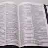 Bíblia Sagrada | RC | Harpa Avivada e Corinhos | Letra Normal | Capa Dura | Leão Hebraico | Slim