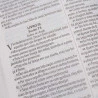 Bíblia Sagrada | King James 1611 | Letra Média | Capa Dura | Leão Hebraico