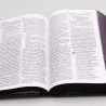 Bíblia Sagrada | NVI | Letra Hipergigante | Semi-Flexível | Leão Hebraico