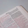 Bíblia Sagrada | RC | Letra Extragigante | Luxo | Bronze