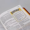 Bíblia em Ação de Estudo | Luxo | Vermelha