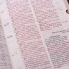 A Bíblia Sagrada | ACF | Letra Gigante | Luxo | Chocolate/Havana | índice