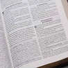 Bíblia de Estudo do Discípulo | RA | Letra Grande | Luxo | Marrom