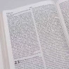 Bíblia Sagrada | NVI | Letra Extragigante | Luxo | Nova Ortografia | Champagne
