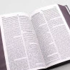 Bíblia Sagrada | NVI | Harpa Avivada e Corinhos | Letra Hipergigante | Semi-Flexível | Eu Sou