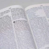 Bíblia Sagrada | NVI | Letra Extragigante | Luxo | Nova Ortografia | Champagne