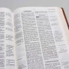 Bíblia de Estudo Thompson | AEC | Letra Grande | Luxo | Marrom | Índice