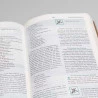 Bíblia do Discípulo | NVI | Letra Normal | Luxo | Marrom
