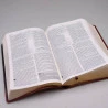 Bíblia de Estudo | NVI | Letra Normal | Luxo | Marrom e Marrom Escuro
