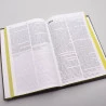 Bíblia Sagrada | Nova Bíblia Viva | Letra Normal | Capa Dura | Cross