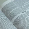 Bíblia Sagrada | NVI | Letra Normal | Capa Dura | Slim | Leão Cruz 