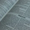 Bíblia Sagrada | King James | Letra Normal | Capa Dura | Leão Jesus | Slim 